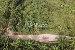 Kavling Tanah di Rangkasbitung Dijual Luas 6500m2 Legalitas SHM Kavling Tanah di Rangkasbitung Dijual Luas 6500m2 Legalitas SHM