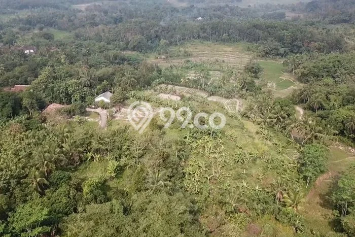 Kavling Tanah di Rangkasbitung Dijual Luas 6500m2 Legalitas SHM Kavling Tanah di Rangkasbitung Dijual Luas 6500m2 Legalitas SHM
