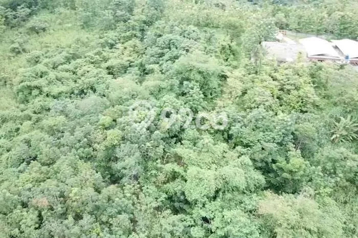 Kavling Tanah Dijual di Rangkasbitung Lebak Spesifikasi 42000m2 Kavling Tanah Dijual di Rangkasbitung Lebak Spesifikasi 42000m2