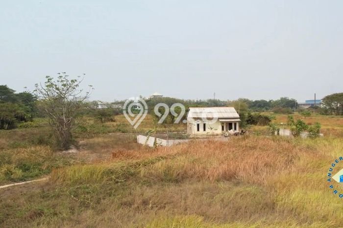 Lahan Kosong Dijual di Ciruas, Serang, Luas 50000m2 Area Strategis Lahan Kosong Dijual di Ciruas, Serang, Luas 50000m2 Area Strategis
