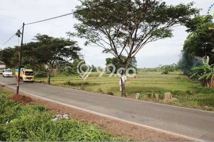 Jual Tanah Area Premium di Rangkasbitung, Luas 6000m2m², Potensi Tinggi Jual Tanah Area Premium di Rangkasbitung, Luas 6000m2m², Potensi Tinggi