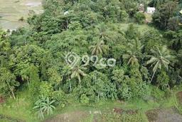 Lahan Dijual Lokasi Rangkasbitung, Lebak dengan Luas Tanah 6000m2 dan Status SHM Lahan Dijual Lokasi Rangkasbitung, Lebak dengan Luas Tanah 6000m2 dan Status SHM