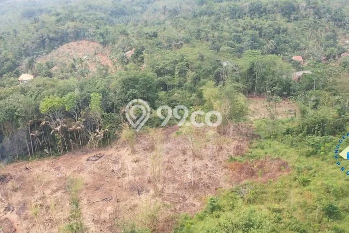 Lahan untuk Dijual Lokasi Rangkasbitung, Lebak Luas 100000m2 - Lahan untuk Dijual Lokasi Rangkasbitung, Lebak Luas 100000m2 -