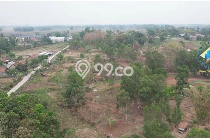 Untuk Dijual Tanah di Pamarayan Serang Luas 52000m2 SHM Untuk Dijual Tanah di Pamarayan Serang Luas 52000m2 SHM