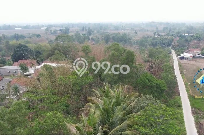 Untuk Dijual Tanah di Pamarayan Serang Luas 52000m2 SHM Untuk Dijual Tanah di Pamarayan Serang Luas 52000m2 SHM