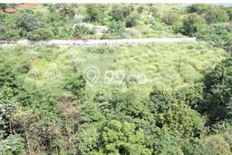 Tanah Dijual Lokasi Pagedangan, Tangerang Luas 6000m2 Legalitas Aman Tanah Dijual Lokasi Pagedangan, Tangerang Luas 6000m2 Legalitas Aman