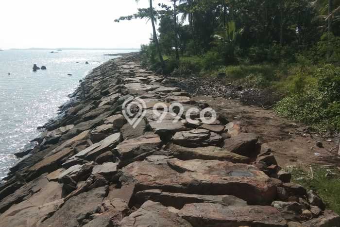 Lahan Dijual Lokasi Pandeglang, Pandeglang dengan Luas Tanah 160m2 dan Status SHM Lahan Dijual Lokasi Pandeglang, Pandeglang dengan Luas Tanah 160m2 dan Status SHM