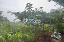 Tanah Kavling untuk Dijual di Pondok Aren Tangerang Selatan 2650m2 Tanah Kavling untuk Dijual di Pondok Aren Tangerang Selatan 2650m2