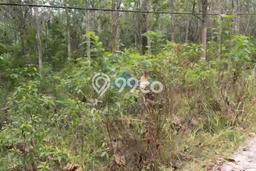 Tanah Kavling untuk Dijual di Rangkasbitung Lebak 32000m2 Tanah Kavling untuk Dijual di Rangkasbitung Lebak 32000m2