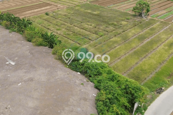Untuk Dijual Tanah di Sepatan Tangerang Luas 4180m2 - Untuk Dijual Tanah di Sepatan Tangerang Luas 4180m2 -