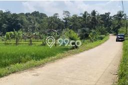 Jarang Ada! Tanah di Serang Punya Luas 4790m2 AJB Jarang Ada! Tanah di Serang Punya Luas 4790m2 AJB