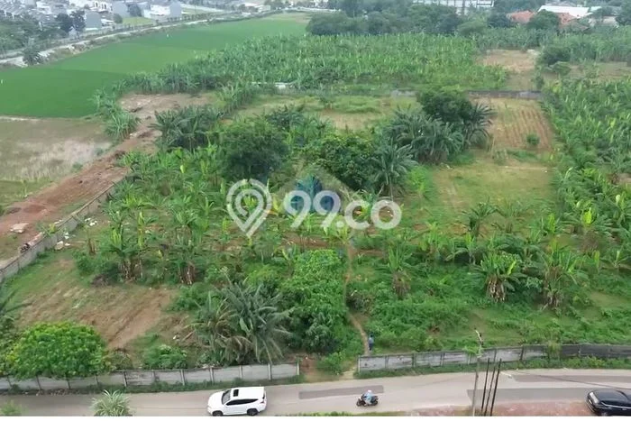 Disewakan Segera Tanah di Panongan Luas 8000m2 Area Potensial Disewakan Segera Tanah di Panongan Luas 8000m2 Area Potensial