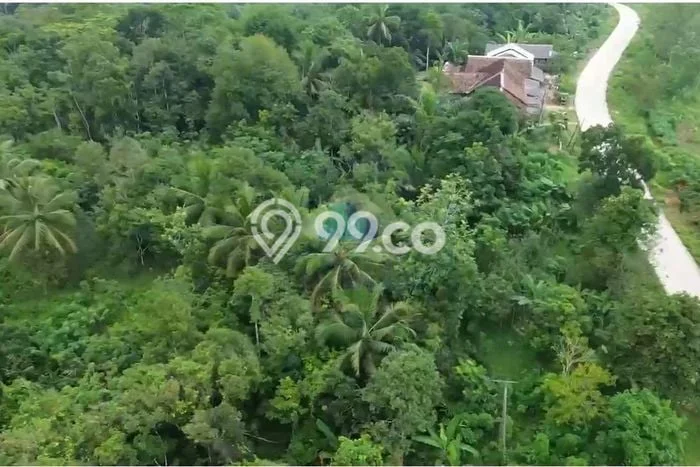 HARGA TERBAIK! Tanah Kawasan Cileles, Luas 150000m2m², Dekat Jalan Raya, Cocok untuk Investasi HARGA TERBAIK! Tanah Kawasan Cileles, Luas 150000m2m², Dekat Jalan Raya, Cocok untuk Investasi