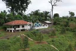 Tanah Komersial Dijual di Jasinga Bogor 46741m2 Tanah Komersial Dijual di Jasinga Bogor 46741m2