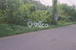 Kavling Tanah Dijual di Taktakan Serang Spesifikasi 150000m2 Kavling Tanah Dijual di Taktakan Serang Spesifikasi 150000m2