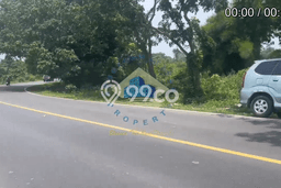 Lahan Kosong Dijual di Rangkasbitung, Lebak, Luas 50000m2 Area Strategis Lahan Kosong Dijual di Rangkasbitung, Lebak, Luas 50000m2 Area Strategis