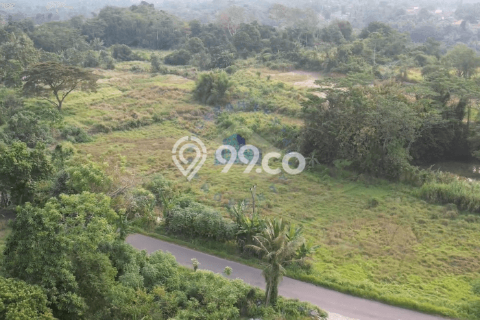 Kavling Tanah Dijual di Taktakan Serang Spesifikasi 150000m2 Kavling Tanah Dijual di Taktakan Serang Spesifikasi 150000m2