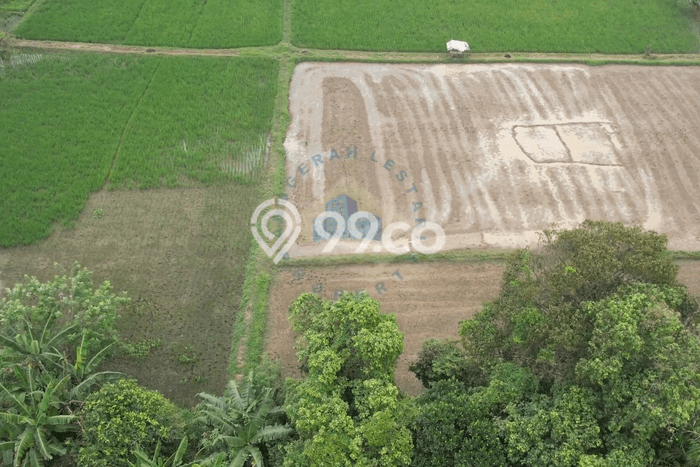 Tanah Kawasan Curug, Luas 7900m2m², Lokasi Strategis, Kawasan Asri, Bebas Banjir Tanah Kawasan Curug, Luas 7900m2m², Lokasi Strategis, Kawasan Asri, Bebas Banjir