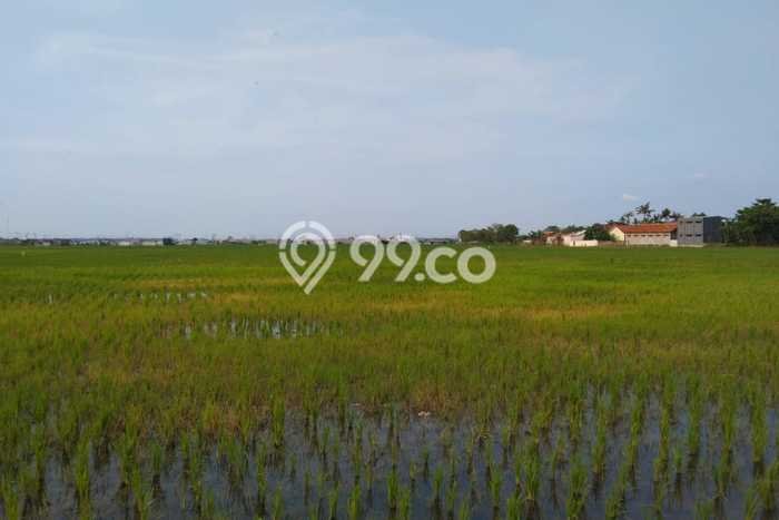 Tanah di Cibitung, Bekasi Luas 16000m2 Dijual Segera Tanah di Cibitung, Bekasi Luas 16000m2 Dijual Segera