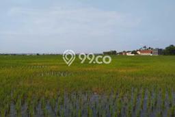 Tanah di Cibitung, Bekasi Luas 16000m2 Dijual Segera Tanah di Cibitung, Bekasi Luas 16000m2 Dijual Segera