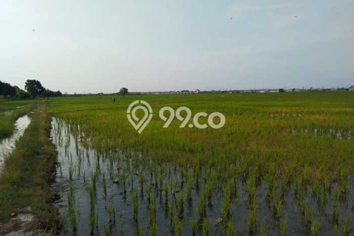 Tanah di Cibitung, Bekasi Luas 16000m2 Dijual Segera Tanah di Cibitung, Bekasi Luas 16000m2 Dijual Segera