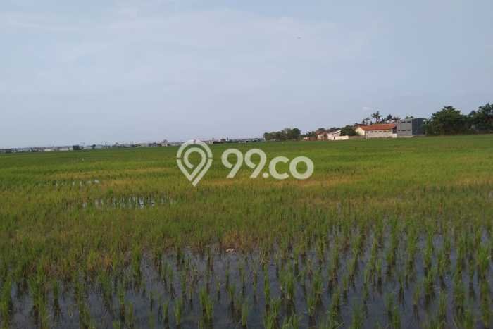 Tanah di Cibitung, Bekasi Luas 16000m2 Dijual Segera Tanah di Cibitung, Bekasi Luas 16000m2 Dijual Segera