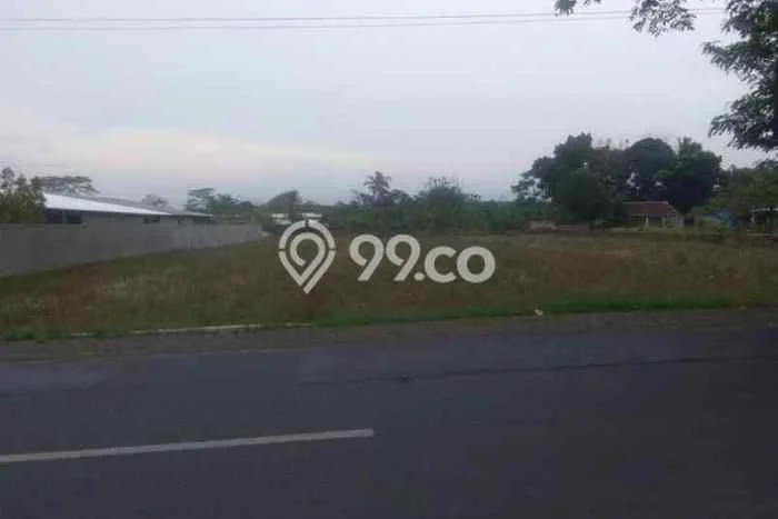 Lahan Investasi Lokasi Cibogo Subang SHM Lahan Investasi Lokasi Cibogo Subang SHM