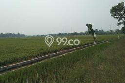 Lahan Kosong Dijual di Karawang dengan Area 9852m2 Lahan Kosong Dijual di Karawang dengan Area 9852m2