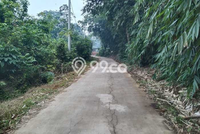 Tanah untuk Dijual Lokasi Pagaden, Subang Luas 5000m2 SHM Tanah untuk Dijual Lokasi Pagaden, Subang Luas 5000m2 SHM