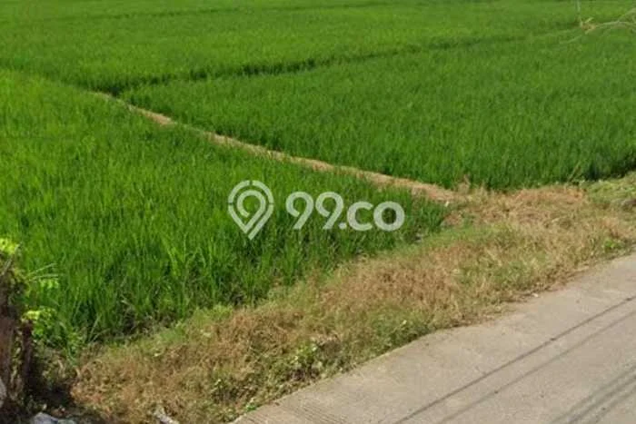 Tanah untuk Dijual di Cibogo Subang Luas 4200m2 Tanah untuk Dijual di Cibogo Subang Luas 4200m2
