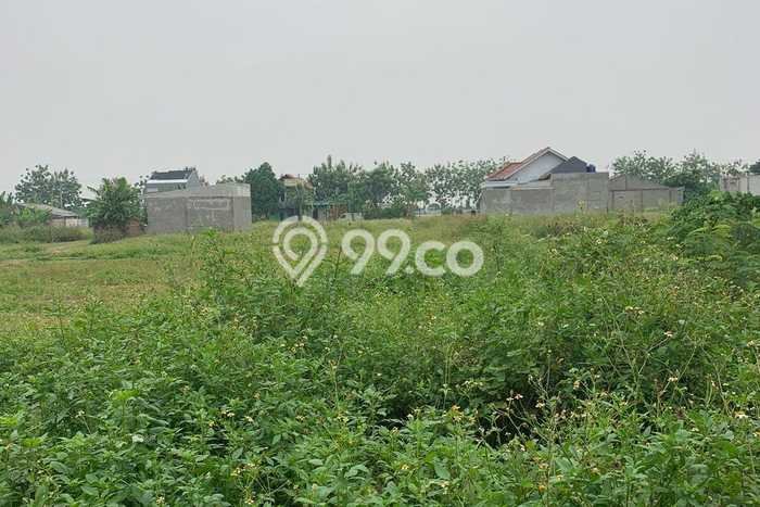 Jarang Ada! Tanah di Tambun Utara Punya Luas 72m2 PPJB Jarang Ada! Tanah di Tambun Utara Punya Luas 72m2 PPJB