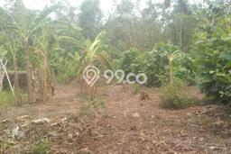 Kavling Tanah Dijual di Gantar, Indramayu, Luas 10000m2 Area Strategis Kavling Tanah Dijual di Gantar, Indramayu, Luas 10000m2 Area Strategis