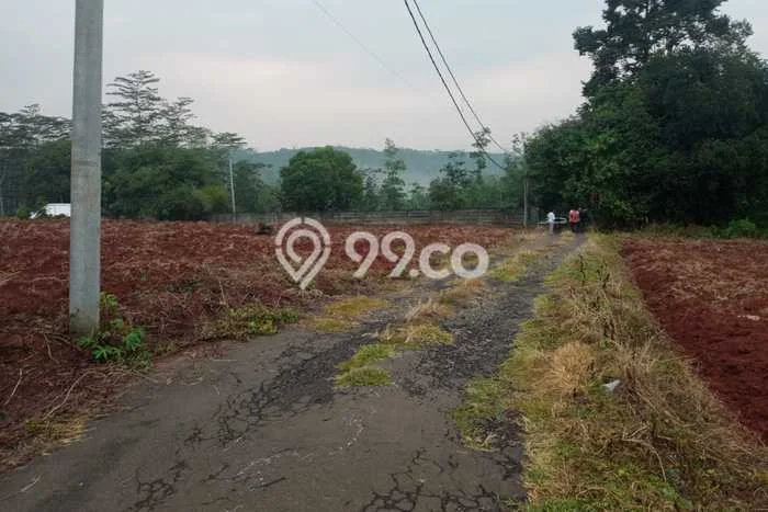 Tanah Kavling untuk Dijual di Tulis Batang 78824m2 Tanah Kavling untuk Dijual di Tulis Batang 78824m2