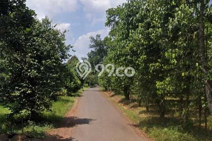 Tanah Kosong Dijual di Subang dengan Area 50000m2 Tanah Kosong Dijual di Subang dengan Area 50000m2