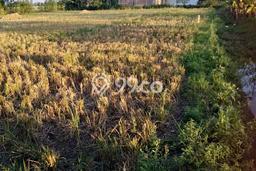 Lahan Strategis di Gabuswetan Dijual dengan Luas 2546m2 Lahan Strategis di Gabuswetan Dijual dengan Luas 2546m2
