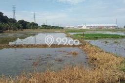 Lahan Dijual Lokasi Strategis di Jakarta Utara dengan Luas 4000m2 Lahan Dijual Lokasi Strategis di Jakarta Utara dengan Luas 4000m2