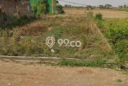 Kavling Tanah di Losarang Dijual Luas 650m2 Legalitas SHM Kavling Tanah di Losarang Dijual Luas 650m2 Legalitas SHM