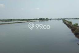 Tanah Kavling Dijual di Indramayu dengan Spesifikasi 7600m2 Tanah Kavling Dijual di Indramayu dengan Spesifikasi 7600m2
