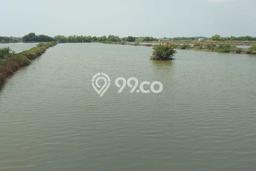 Untuk Dijual Tanah di Indramayu, Luas 7600m2 SHM Untuk Dijual Tanah di Indramayu, Luas 7600m2 SHM