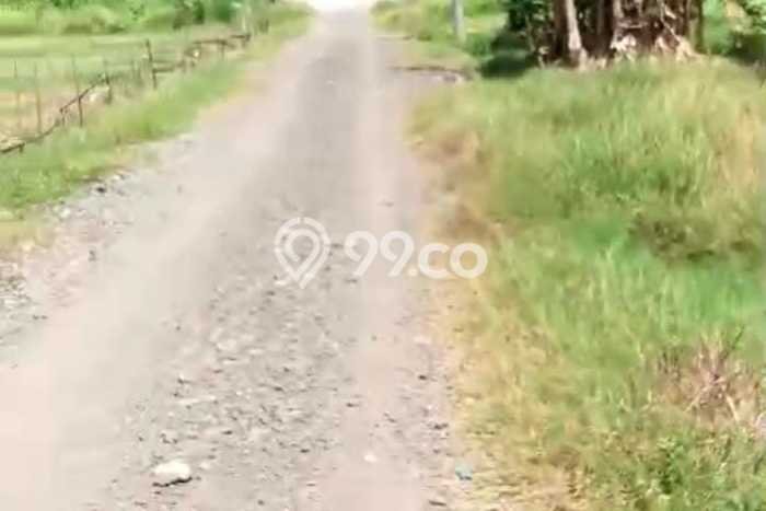 Tanah di Tambun Utara, Bekasi Luas 1000m2 Dijual Segera Tanah di Tambun Utara, Bekasi Luas 1000m2 Dijual Segera