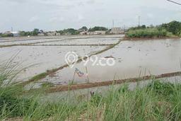 Lahan untuk Dijual Lokasi Karawang Timur, Karawang Luas 1891m2 - Lahan untuk Dijual Lokasi Karawang Timur, Karawang Luas 1891m2 -