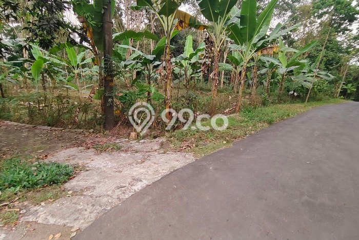 Kavling Tanah di Dlingo Dijual Luas 5970m2 Legalitas SHM Kavling Tanah di Dlingo Dijual Luas 5970m2 Legalitas SHM