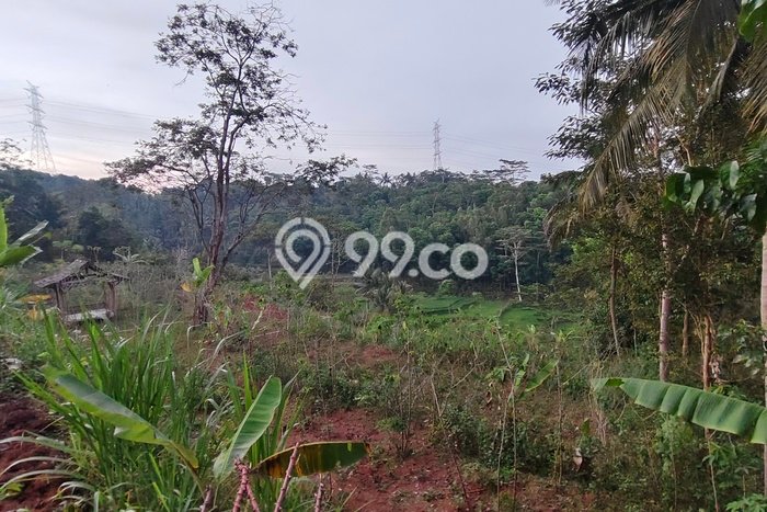 Kavling Tanah di Dlingo Dijual Luas 5970m2 Legalitas SHM Kavling Tanah di Dlingo Dijual Luas 5970m2 Legalitas SHM