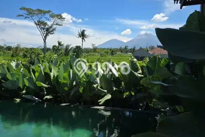 Vila Strategis di Ngaglik, Area 0m2m², Available Segera Vila Strategis di Ngaglik, Area 0m2m², Available Segera
