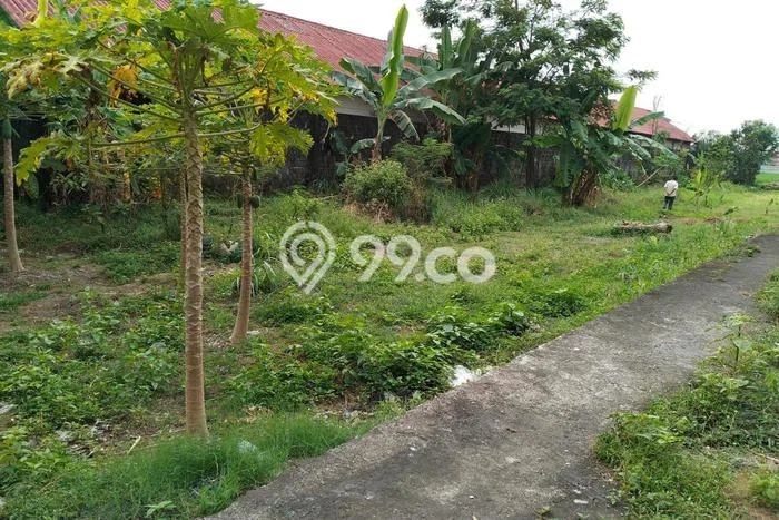 Disewakan Segera Tanah di Banguntapan Luas 210m2 Area Potensial Disewakan Segera Tanah di Banguntapan Luas 210m2 Area Potensial