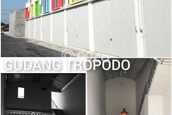 Gudang Disewa di Sedati, Sidoarjo, LT 120m2 / LB 140m2 Gudang Disewa di Sedati, Sidoarjo, LT 120m2 / LB 140m2