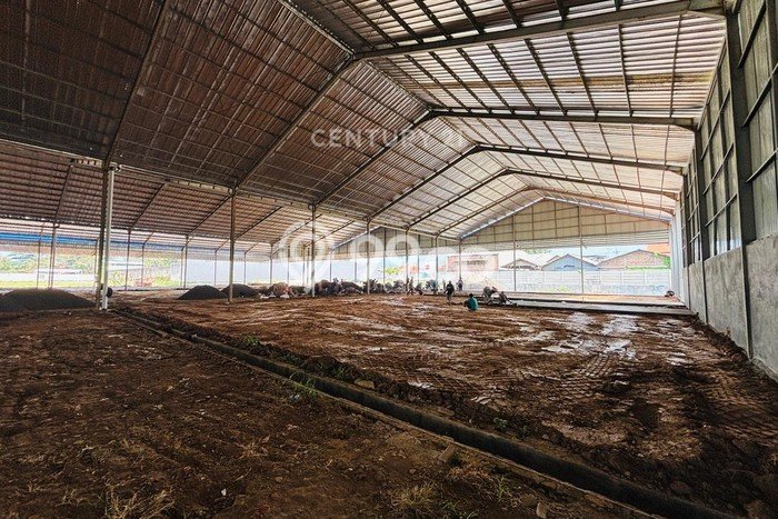 Siap Disewakan Tanah di Plumbon Luas 22987m2 Area Potensial Siap Disewakan Tanah di Plumbon Luas 22987m2 Area Potensial