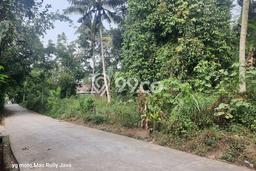 Lahan Investasi Lokasi Cangkringan Sleman SHM Lahan Investasi Lokasi Cangkringan Sleman SHM
