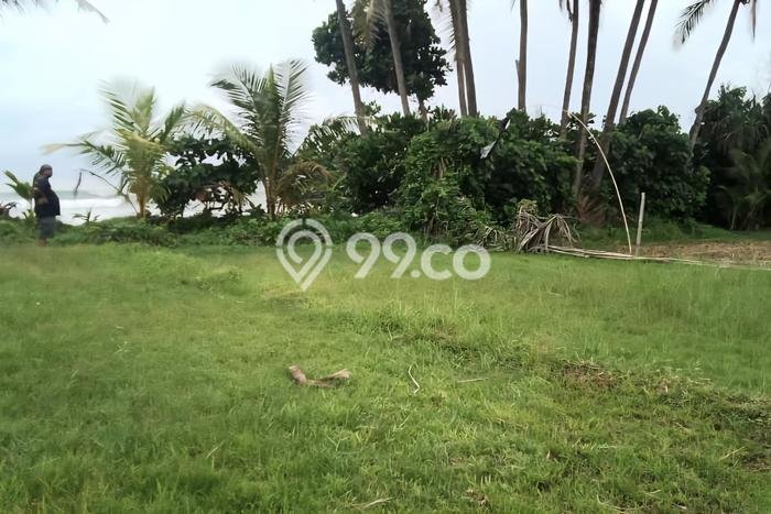 Tanah Dijual di Tabanan Seluas 6900m2 Strategis Tanah Dijual di Tabanan Seluas 6900m2 Strategis