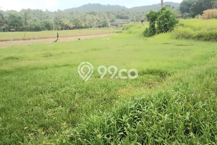 Tanah Dijual di Tabanan Seluas 6900m2 Strategis Tanah Dijual di Tabanan Seluas 6900m2 Strategis